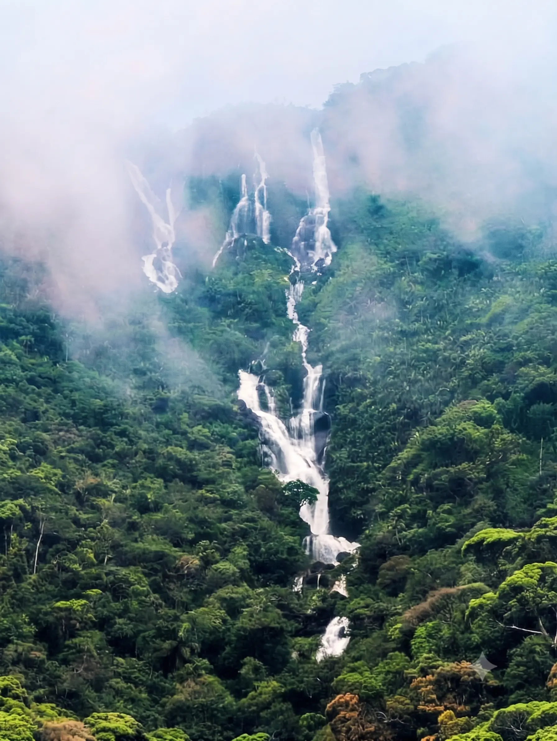 Sinharaja Hills Sri Lanka